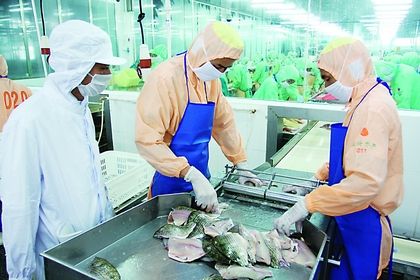 水產(chǎn)品及加工制品快速檢測方案