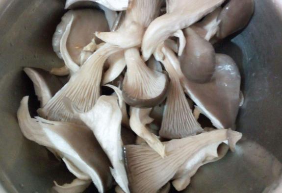 食品重金屬檢測儀：蘑菇喜歡富集重金屬？