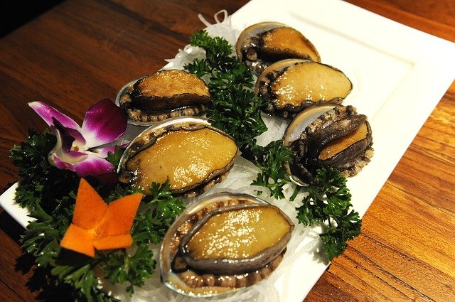安卓智能水產(chǎn)品獸藥殘留檢測(cè)儀助力鮑魚的質(zhì)量監(jiān)測(cè)